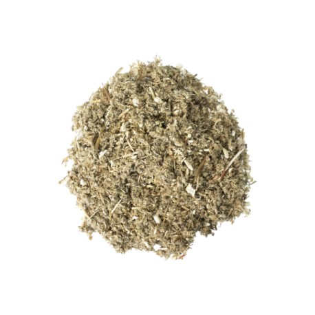 Artemisa seca(Mugwort)-Oz