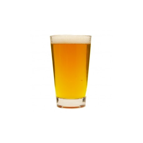 Kit Todo Grano GOLDEN ALE(19 Lts)