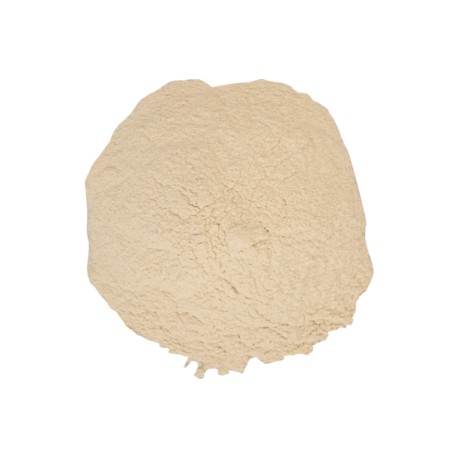 Opti-White (15 gr)