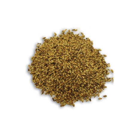 Malta Pilsen(Altiplano)-(Saco 25 Kg)
