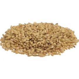 Malta-Base 2H Altiplano- (Saco de 25 Kg)