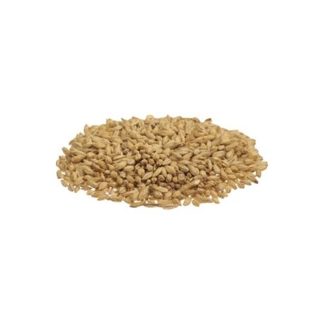 Malta-Base 2H Altiplano- (Saco de 25 Kg)
